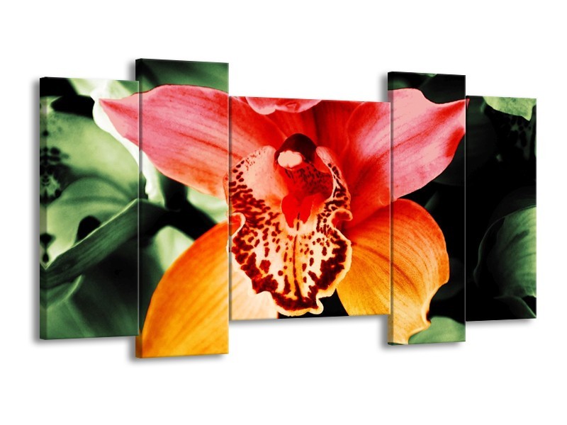Canvas schilderij Iris | Oranje, Geel, Groen | 120x65 5Luik