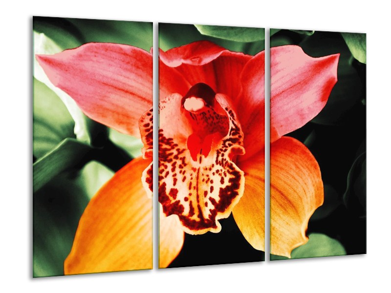 Canvas schilderij Iris | Oranje, Geel, Groen | 120x80cm 3Luik