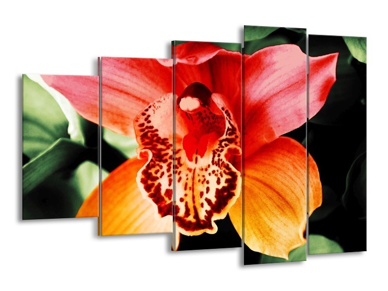 Canvas schilderij Iris | Oranje, Geel, Groen | 150x100cm 5Luik