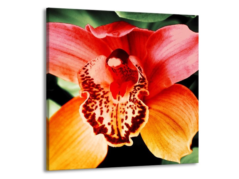Canvas schilderij Iris | Oranje, Geel, Groen | 70x70cm 1Luik