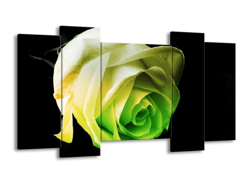 Canvas schilderij Roos | Geel, Groen, Zwart | 120x65 5Luik