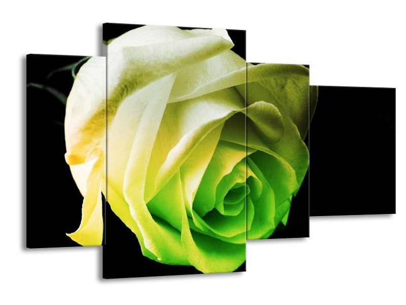 Canvas schilderij Roos | Geel, Groen, Zwart | 120x75cm 4Luik