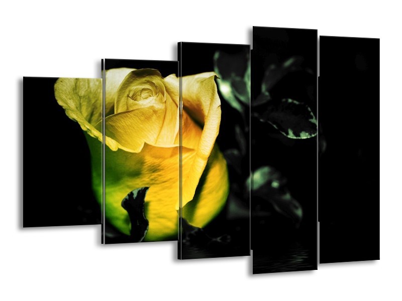 Canvas schilderij Roos | Geel, Zwart | 150x100cm 5Luik