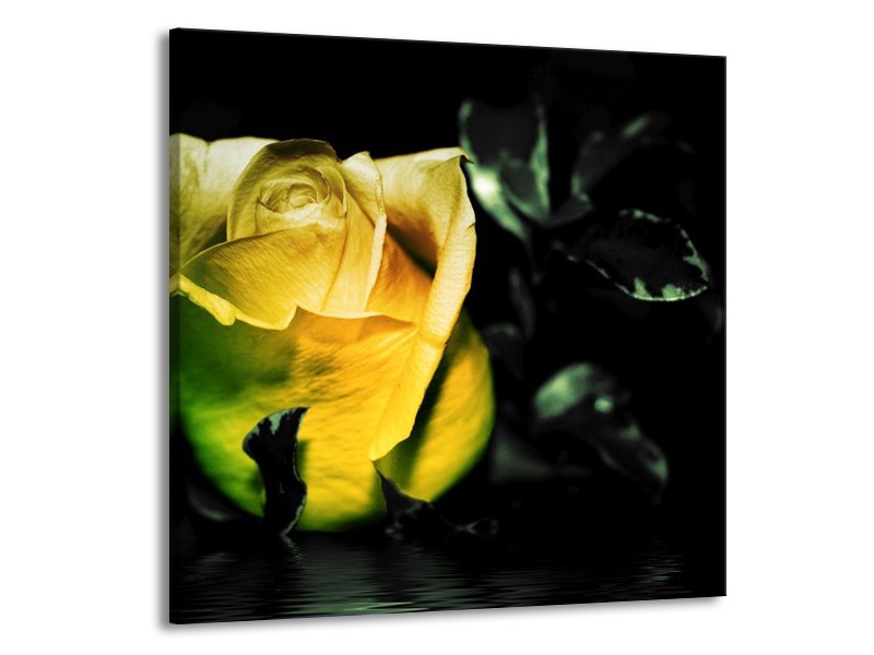 Canvas schilderij Roos | Geel, Zwart | 70x70cm 1Luik