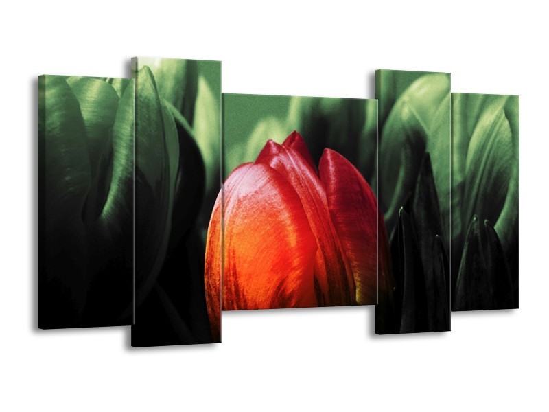 Canvas schilderij Tulp | Rood, Groen, Zwart | 120x65 5Luik