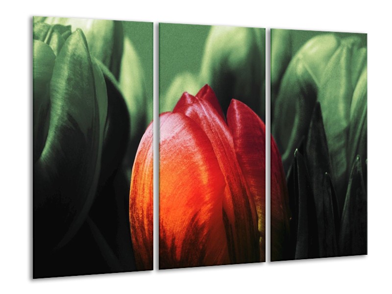 Canvas schilderij Tulp | Rood, Groen, Zwart | 120x80cm 3Luik