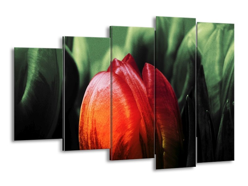 Canvas schilderij Tulp | Rood, Groen, Zwart | 150x100cm 5Luik