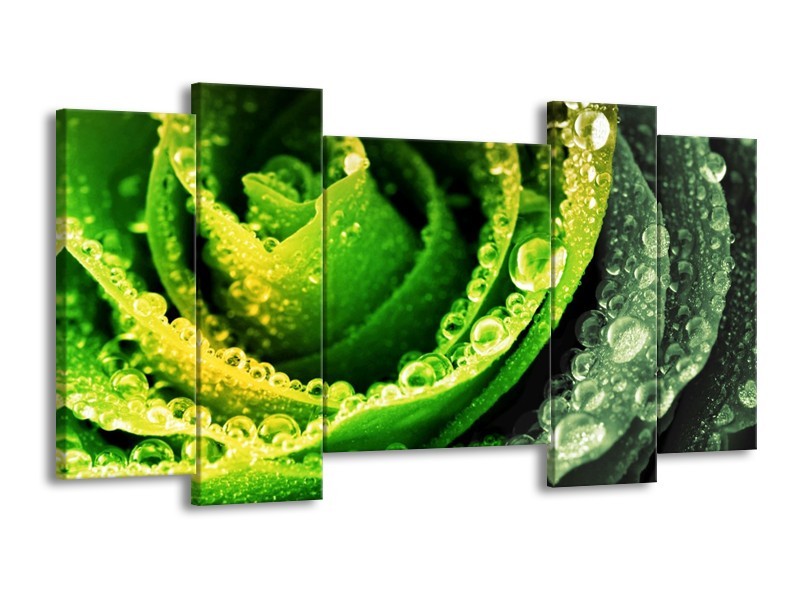 Canvas schilderij Roos | Geel, Groen, Grijs | 120x65 5Luik