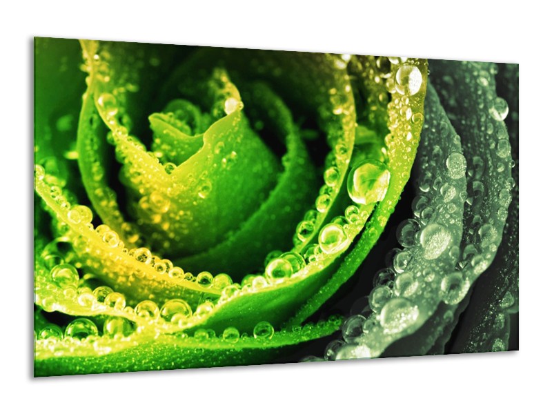 Canvas schilderij Roos | Geel, Groen, Grijs | 120x70cm 1Luik