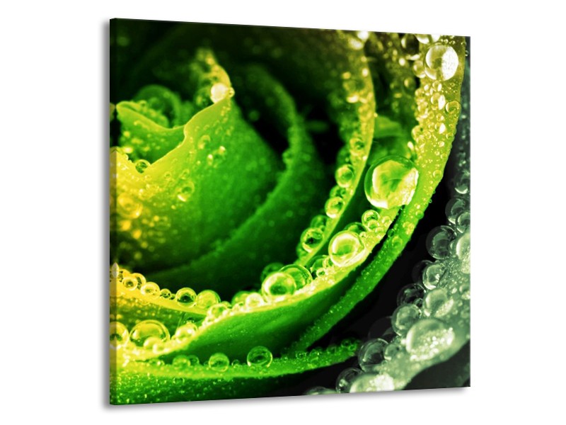 Canvas schilderij Roos | Geel, Groen, Grijs | 70x70cm 1Luik
