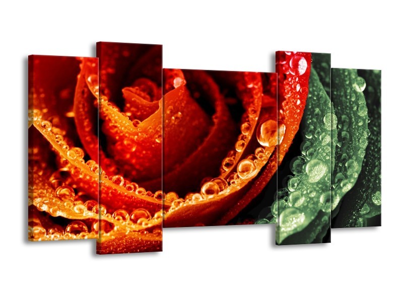 Canvas schilderij Roos | Rood, Oranje, Groen | 120x65 5Luik