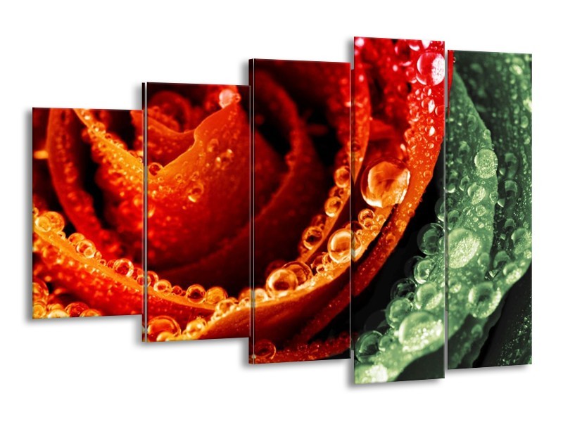 Canvas schilderij Roos | Rood, Oranje, Groen | 150x100cm 5Luik