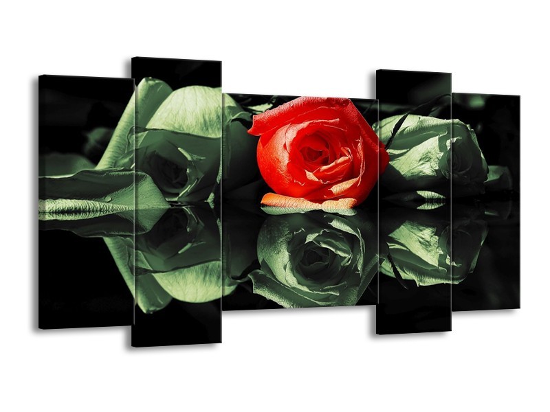 Canvas schilderij Roos | Rood, Groen, Zwart | 120x65 5Luik