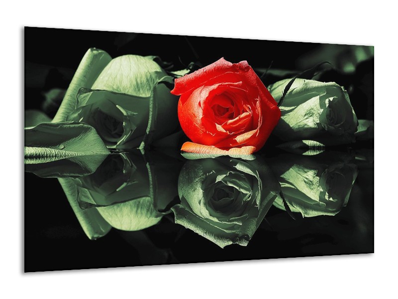 Canvas schilderij Roos | Rood, Groen, Zwart | 120x70cm 1Luik