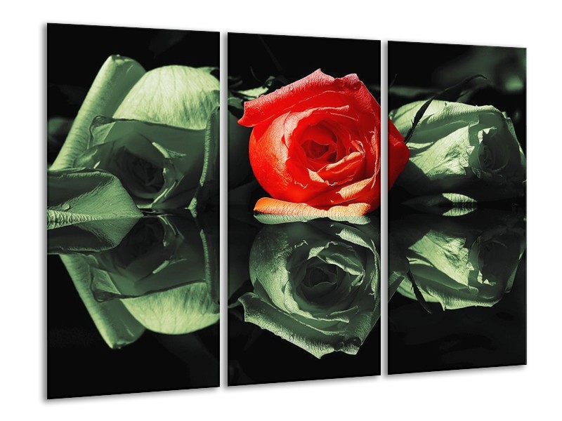 Canvas schilderij Roos | Rood, Groen, Zwart | 120x80cm 3Luik
