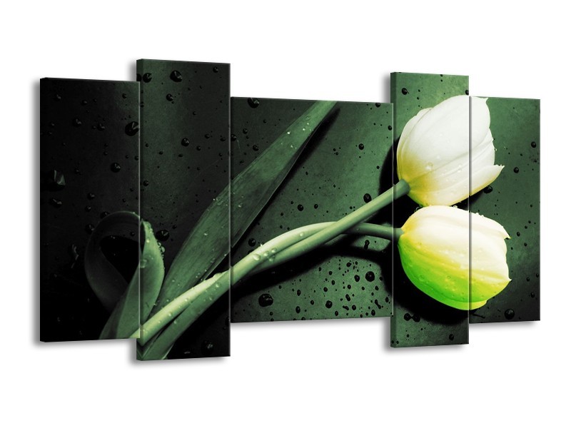 Canvas schilderij Tulp | Groen, Geel, Zwart | 120x65 5Luik