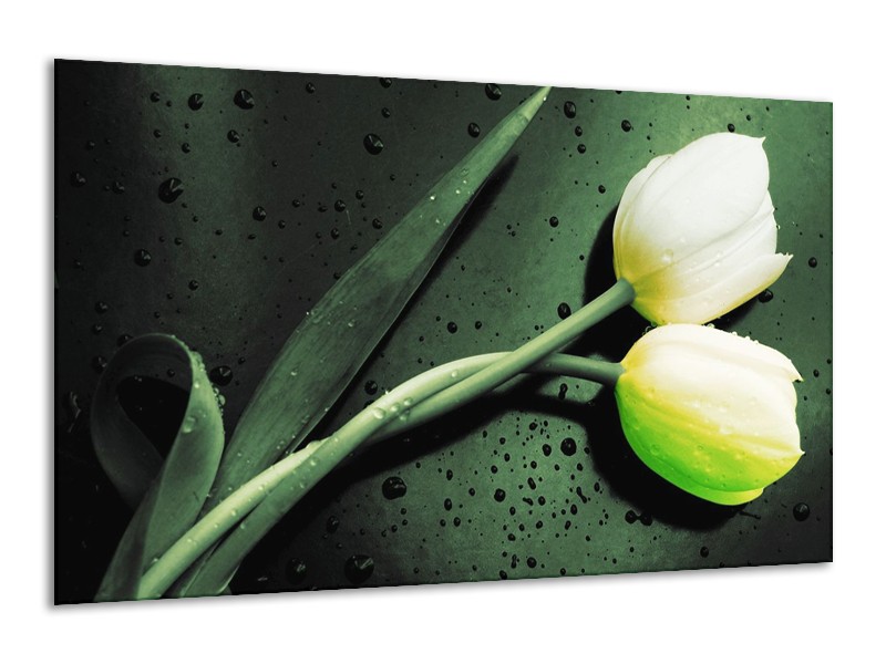 Canvas schilderij Tulp | Groen, Geel, Zwart | 120x70cm 1Luik