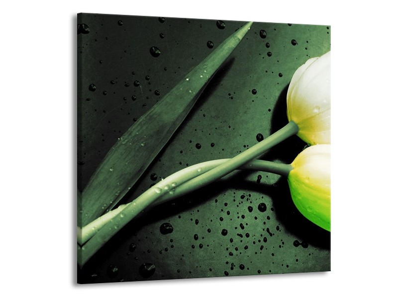 Canvas schilderij Tulp | Groen, Geel, Zwart | 70x70cm 1Luik