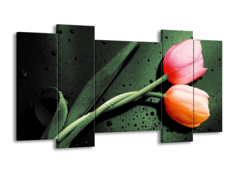Canvas schilderij Tulp | Groen, Rood, Zwart | 120x65 5Luik