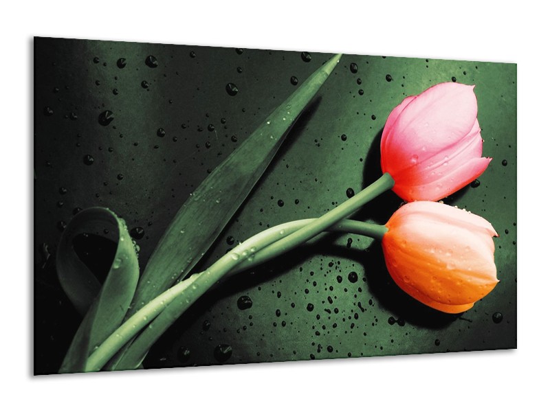 Canvas schilderij Tulp | Groen, Rood, Zwart | 120x70cm 1Luik