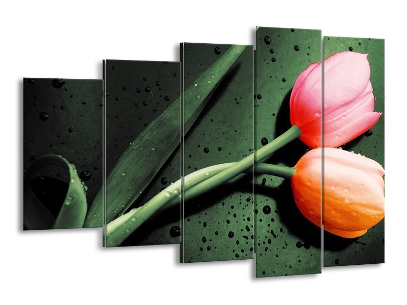 Canvas schilderij Tulp | Groen, Rood, Zwart | 150x100cm 5Luik