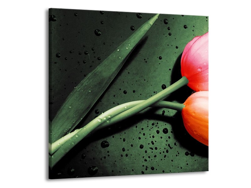 Canvas schilderij Tulp | Groen, Rood, Zwart | 70x70cm 1Luik