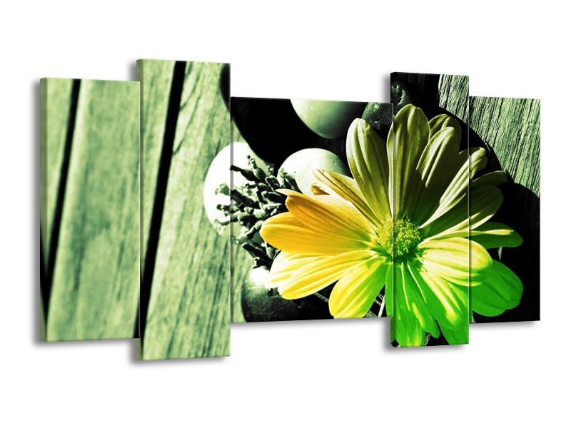 Canvas schilderij Bloem | Geel, Groen, Zwart | 120x65 5Luik