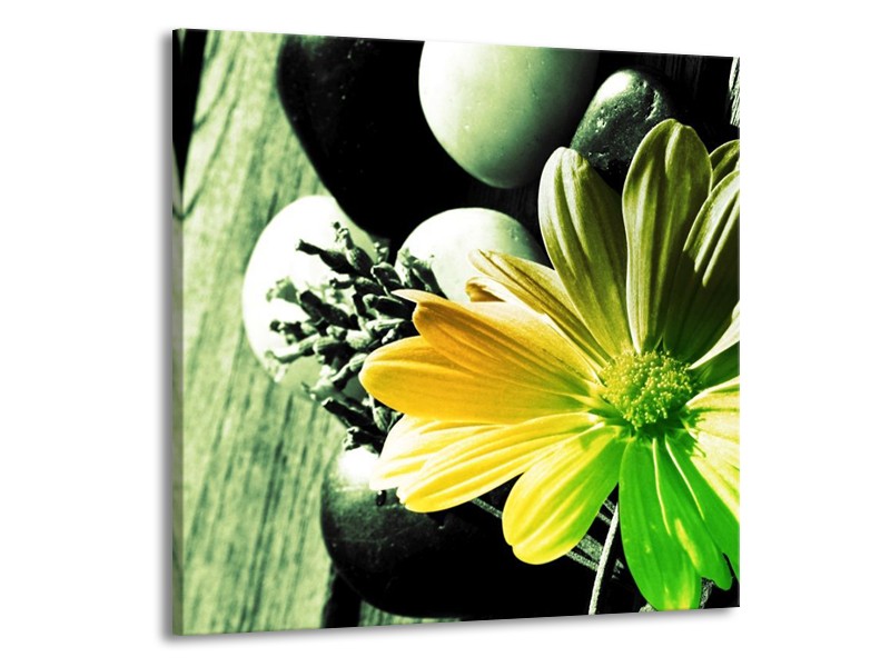 Canvas schilderij Bloem | Geel, Groen, Zwart | 50x50cm 1Luik