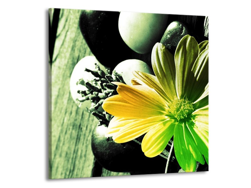 Canvas schilderij Bloem | Geel, Groen, Zwart | 70x70cm 1Luik