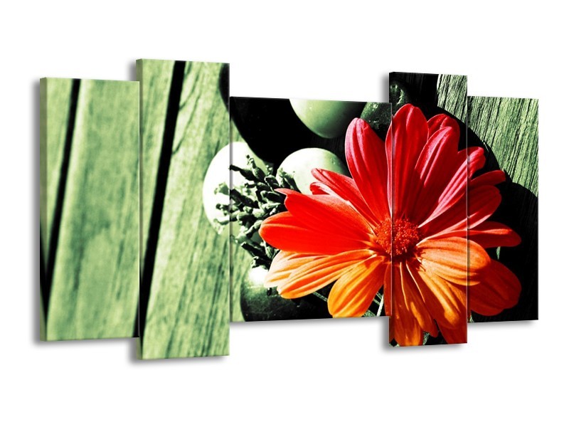 Canvas schilderij Bloem | Oranje, Groen, Rood | 120x65 5Luik