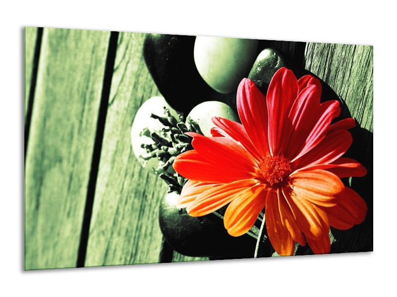Canvas schilderij Bloem | Oranje, Groen, Rood | 120x70cm 1Luik