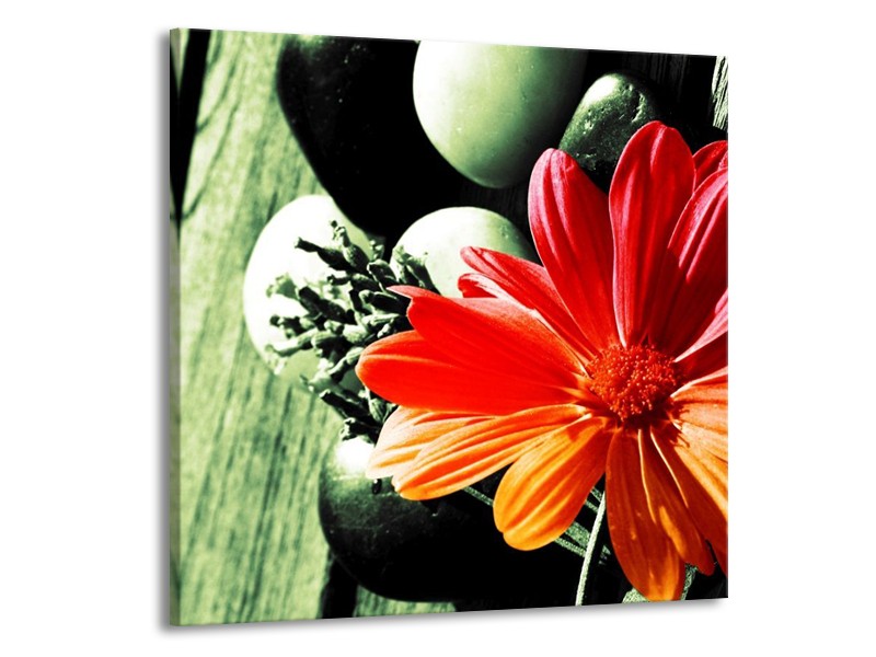Canvas schilderij Bloem | Oranje, Groen, Rood | 70x70cm 1Luik
