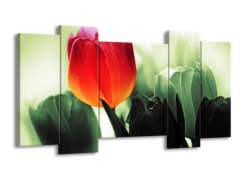 Canvas schilderij Tulp | Rood, Groen, Zwart | 120x65 5Luik