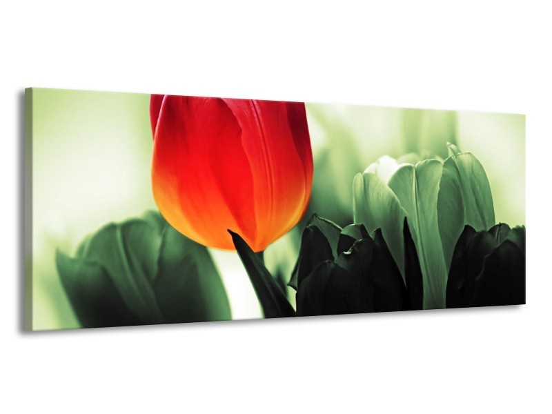 Canvas schilderij Tulp | Rood, Groen, Zwart | 145x58cm 1Luik