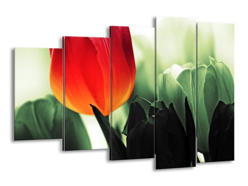 Canvas schilderij Tulp | Rood, Groen, Zwart | 150x100cm 5Luik