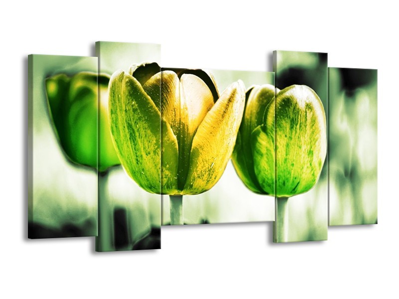 Canvas schilderij Tulp | Geel, Groen, Wit | 120x65 5Luik