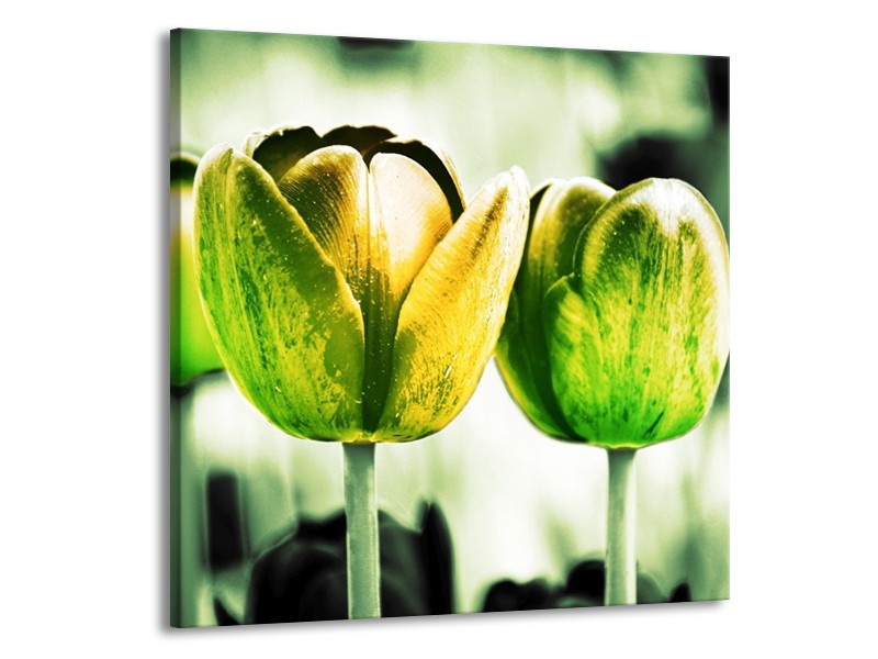 Canvas schilderij Tulp | Geel, Groen, Wit | 70x70cm 1Luik
