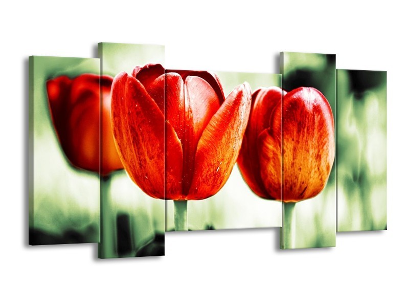 Canvas schilderij Tulp | Rood, Groen, Wit | 120x65 5Luik