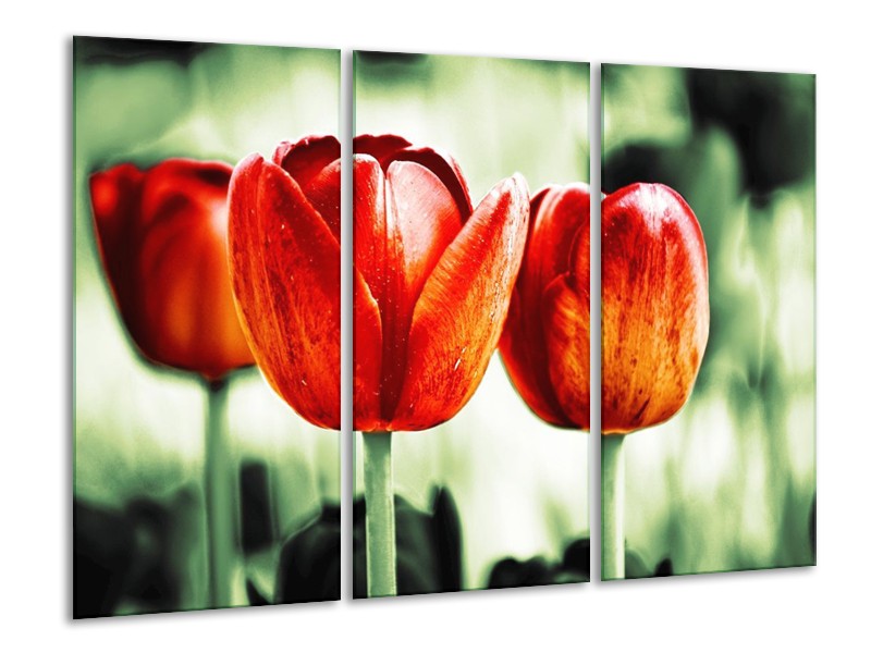 Canvas schilderij Tulp | Rood, Groen, Wit | 120x80cm 3Luik