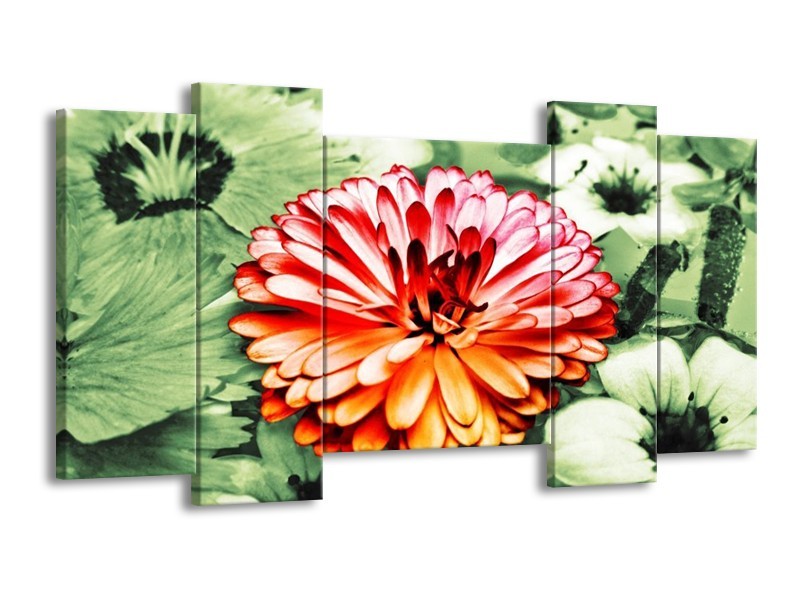 Canvas schilderij Bloem | Rood, Groen, Wit | 120x65 5Luik