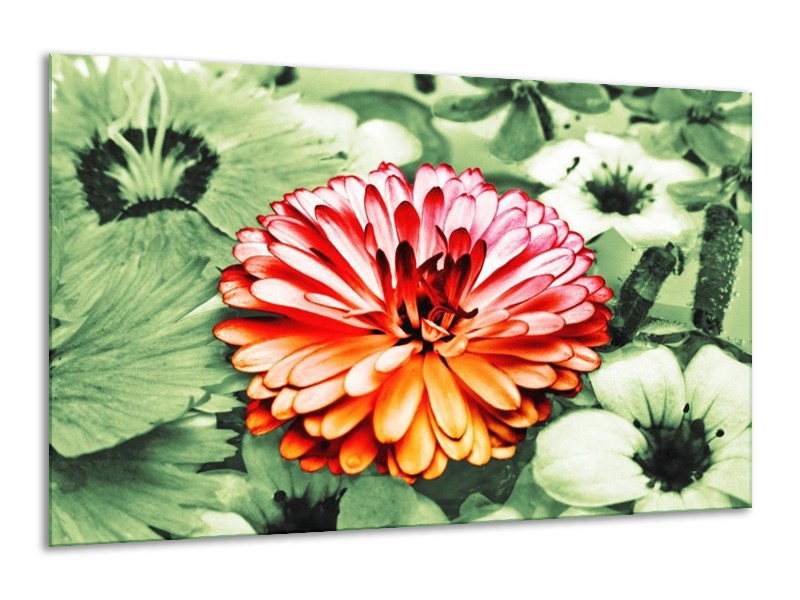 Canvas schilderij Bloem | Rood, Groen, Wit | 120x70cm 1Luik