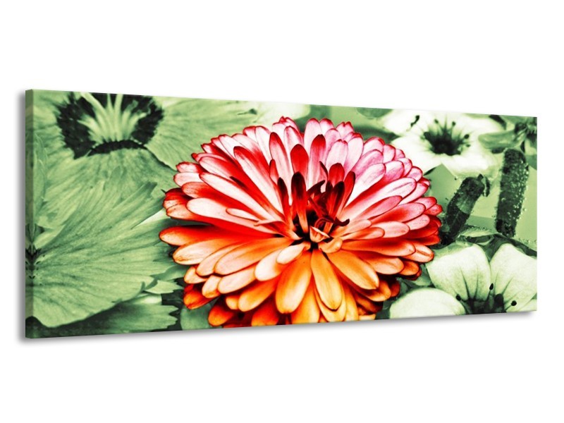 Canvas schilderij Bloem | Rood, Groen, Wit | 145x58cm 1Luik