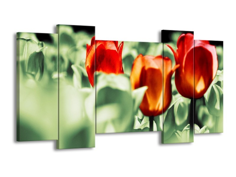 Canvas schilderij Tulp | Rood, Oranje, Groen | 120x65 5Luik