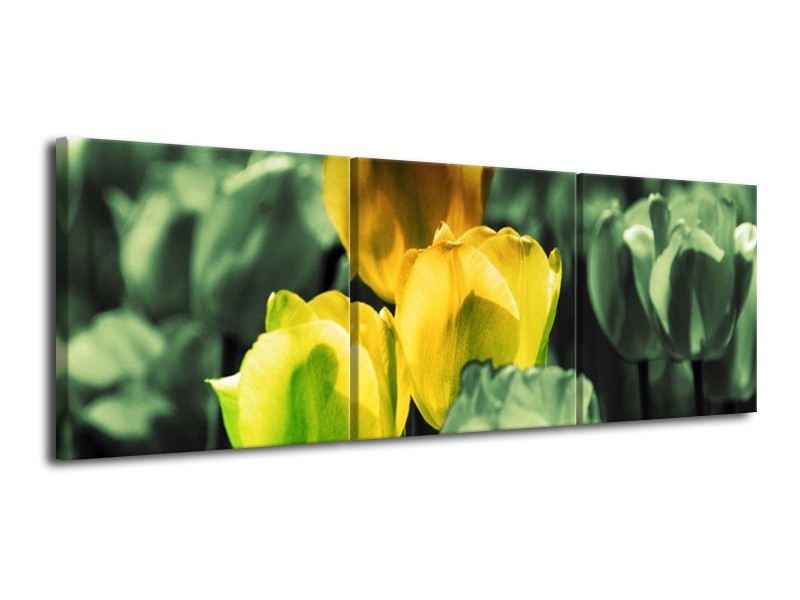 Glas schilderij Tulp | Geel, Groen | 120x40cm 3Luik