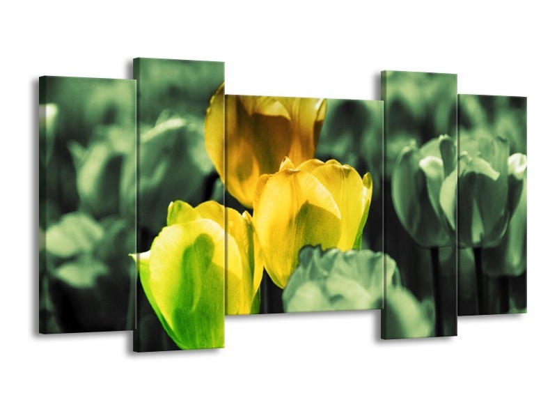 Canvas schilderij Tulp | Geel, Groen | 120x65 5Luik