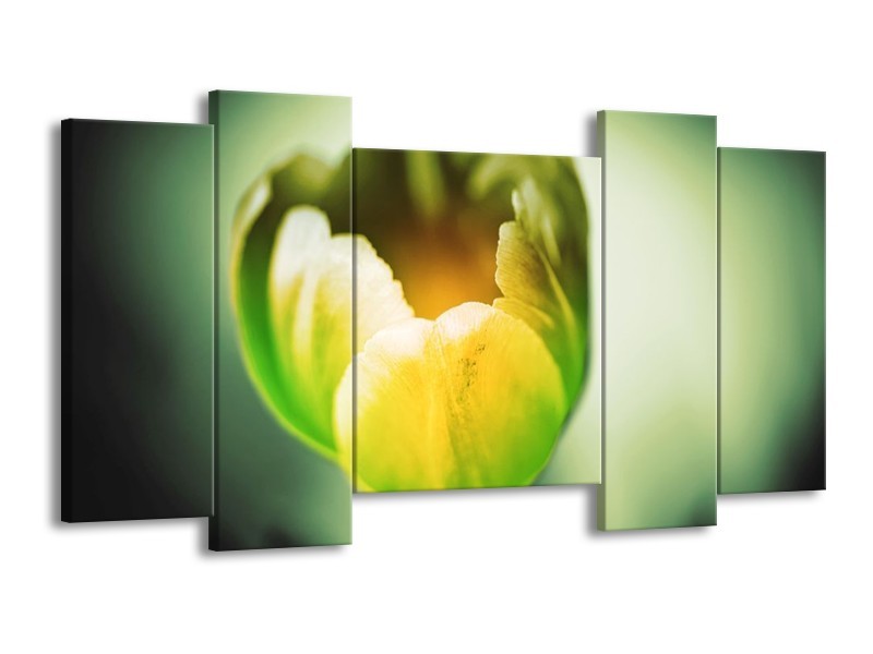 Canvas schilderij Tulp | Geel, Groen | 120x65 5Luik