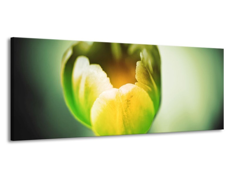 Canvas schilderij Tulp | Geel, Groen | 145x58cm 1Luik