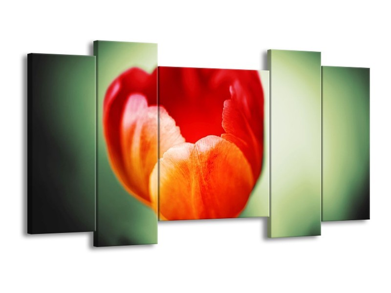 Canvas schilderij Tulp | Oranje, Rood, Groen | 120x65 5Luik