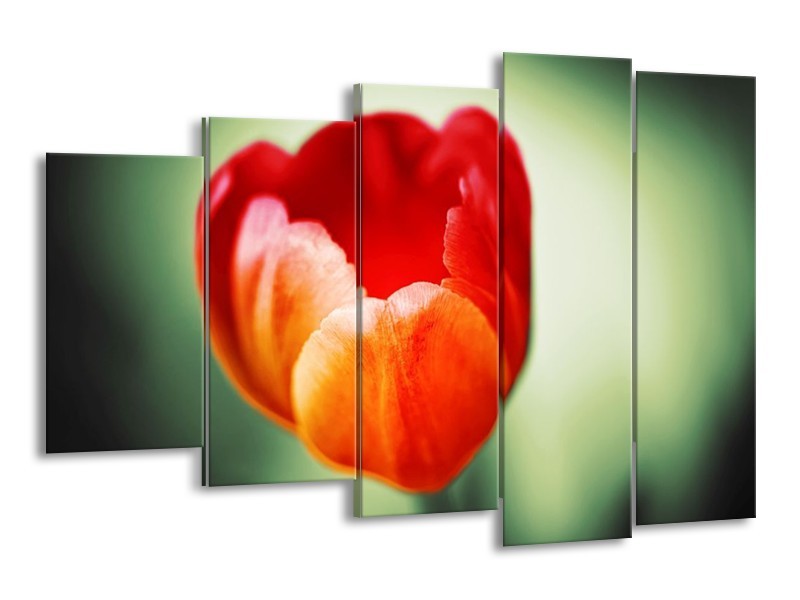 Canvas schilderij Tulp | Oranje, Rood, Groen | 150x100cm 5Luik