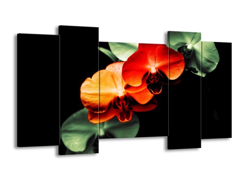 Canvas schilderij Orchidee | Rood, Groen, Zwart | 120x65 5Luik
